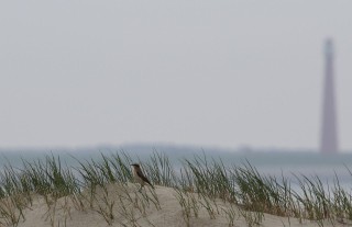 texel2018-72